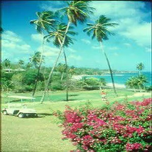 *** Hotel Mount Irvine Bay Resort Black Rock Trinidad And Tobago